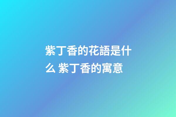紫丁香的花語是什么 紫丁香的寓意